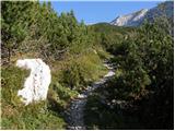 Planina Kuk - Vrh nad Škrbino