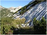 Planina Kuk - Tolminski Kuk