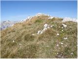 Planina Kuk - Tolminski Kuk