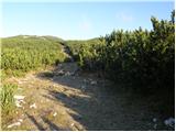 Planina Ravne - Planina Dolga trata