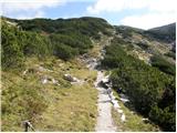 Planina Podvežak - Kocbekov dom na Korošici