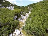 Planina Ravne - Veliki vrh (Veža)