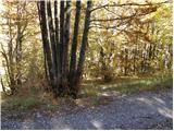 Parking at botanical garden - Zavižanski Pivčevac