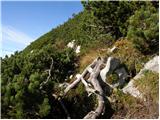 end of road on Pokljuka - Veliki Draški vrh