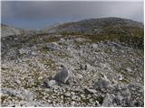 end of road on Pokljuka - Tosc