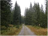 Kočiška planina/Koutschitz Alm - Poludnik/Poludnig