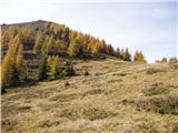 Dolinza Alm / Planina Dolnica - Sagranberg/Monte Sagran