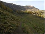 Koutschitz Alm/Kočiška planina - Poludnig/Poludnik