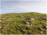 Koutschitz Alm/Kočiška planina - Poludnig/Poludnik