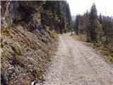 Koutschitz Alm / Kočiška planina - Gortchacher Alm/Goričanska planina