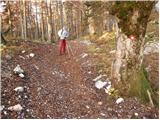 end of road on Vogar - Pršivec