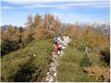 end of road on Vogar - Pršivec