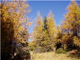 Bajdiše / Waidisch - Grlovec / Ferlacher Horn