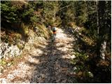 Planina Blato - Zasavska koča na Prehodavcih