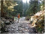 Planina Blato - Koča na Planini pri Jezeru