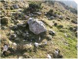 Planina Jezerca - Planina Košutna