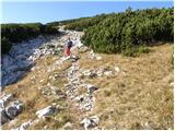 Planina Jezerca - Vrh Korena