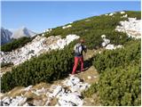 Planina Jezerca - Vrh Korena