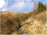 Rifugio Tolazzi - Pic Chiadin