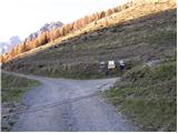 Rifugio Tolazzi - Rifugio Marinelli