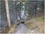 Rifugio Tolazzi - Monte Coglians (Hohe Warte)