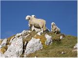 Planina Kuhinja - Krn