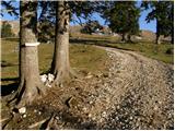 Matizovec - Planina Zgornja Dolga njiva