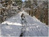 Breznica - Sveti Lovrenc na Lovrenški gori