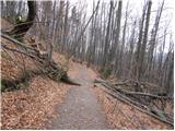 Prvine - Črni vrh (Čemšeniška planina)