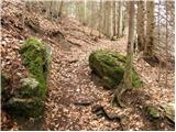 Čemšenik - Črni vrh (Čemšeniška planina)