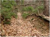 Čemšenik - Črni vrh (Čemšeniška planina)