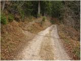 Čemšenik - Črni vrh (Čemšeniška planina)