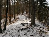 Polhov Gradec (Blagajev grad) - Polhograjska Gora (Sveti Lovrenc)