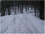 Blečji vrh - Kucelj