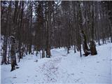 The Krma Valley - Veliki Pršivec