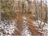 Selšček - Velika Špička