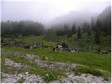 Pod Debelo glavo - Planina Suha