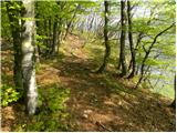 Stara Fužina - Rudnica