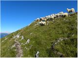 Poljana (Završnica) - Potoški Stol