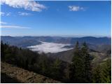 Trbovlje - Sveta planina (Partizanski vrh)