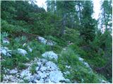 Planina  Blato - The lake Rjavo jezero