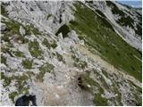 End of road on Pokljuka - Viševnik