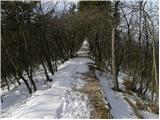 Sveta Gora - Frančiškov hrib