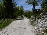 Planina Storeča raven - Vogel