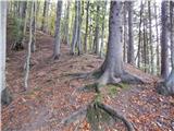 Tržič (Čegelše) - Veliki vrh above Završnik