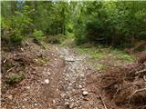 Kokra (Podlebelca) - Planina Dolga njiva (Krvavec)