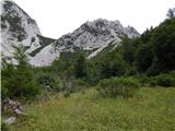 Sele-Zvrhnji Kot (Male) / Zell-Oberwinkel (Male) - Planina Korošica