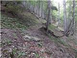 Sele-Zvrhnji Kot (Male) / Zell-Oberwinkel (Male) - Planina Korošica