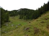 Sele-Zvrhnji Kot (Male) / Zell-Oberwinkel (Male) - Planina Korošica