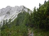 Sele-Zvrhnji Kot (Male) / Zell-Oberwinkel (Male) - Planina Korošica